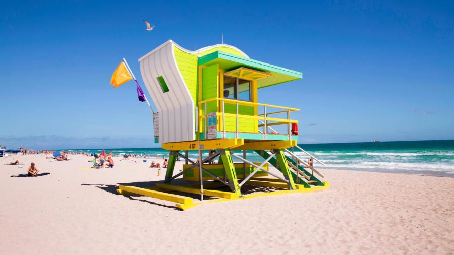 A trip to Miami
